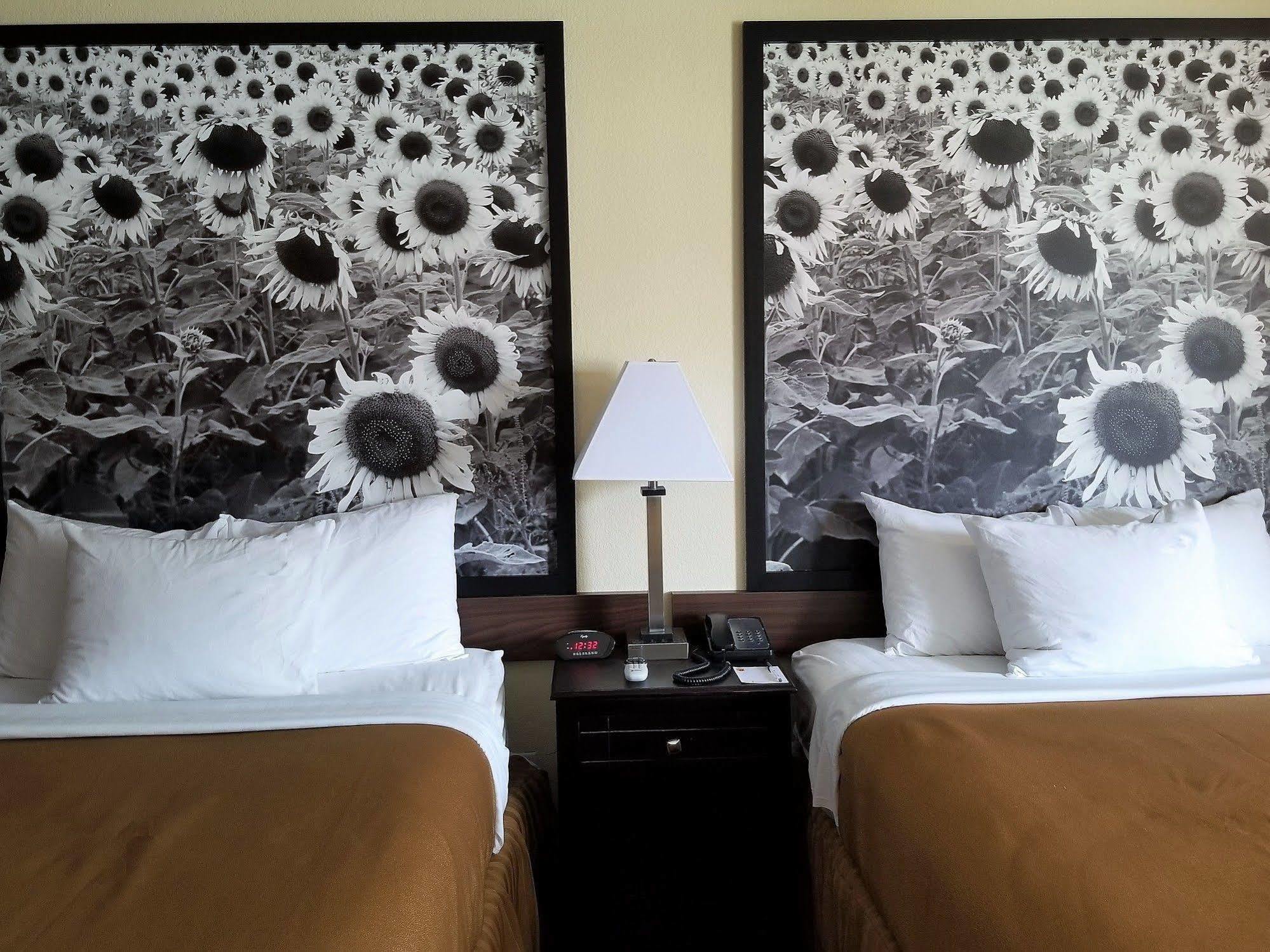 Super 8 By Wyndham Des Moines Hotel Ngoại thất bức ảnh